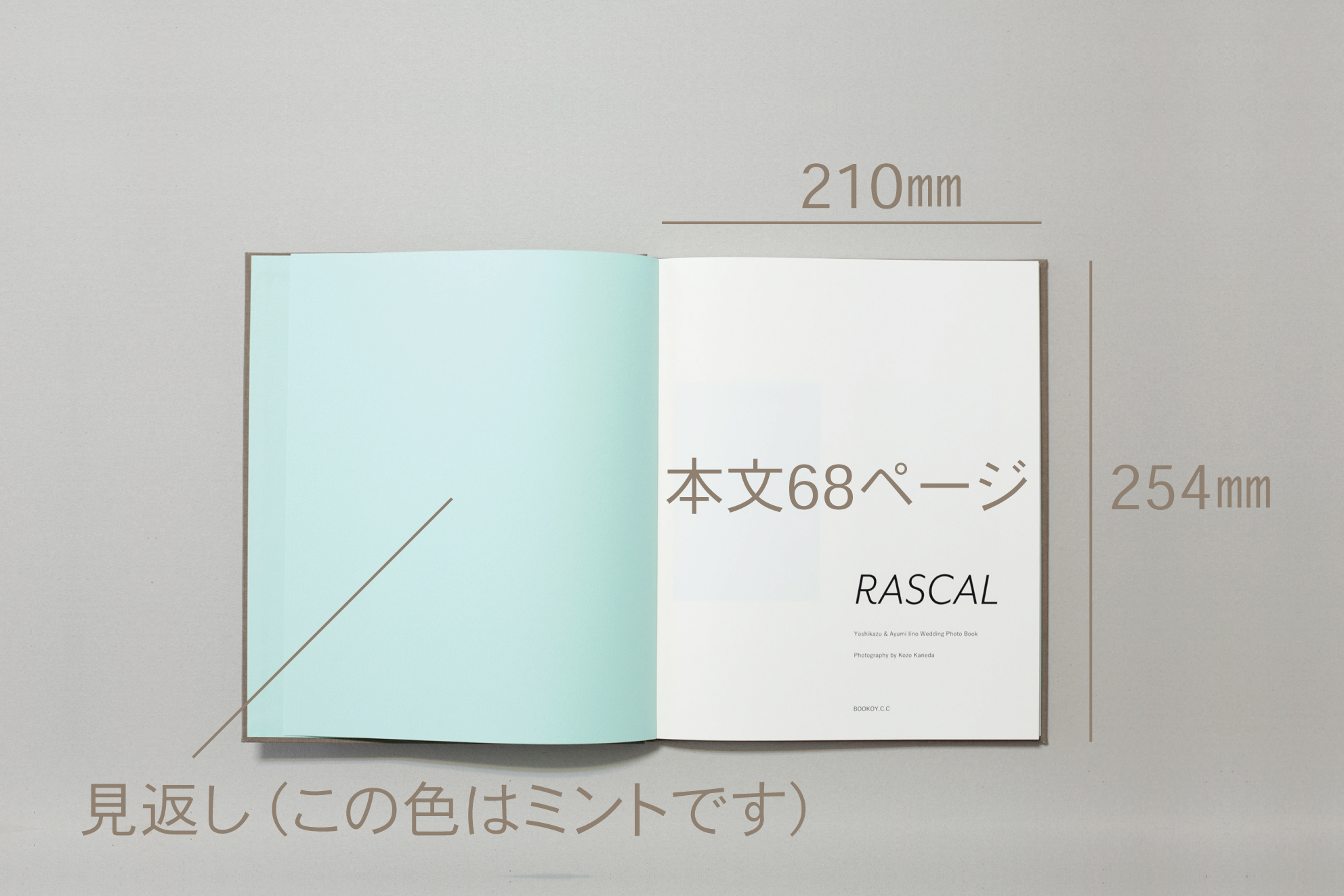 bookmake_scale_3